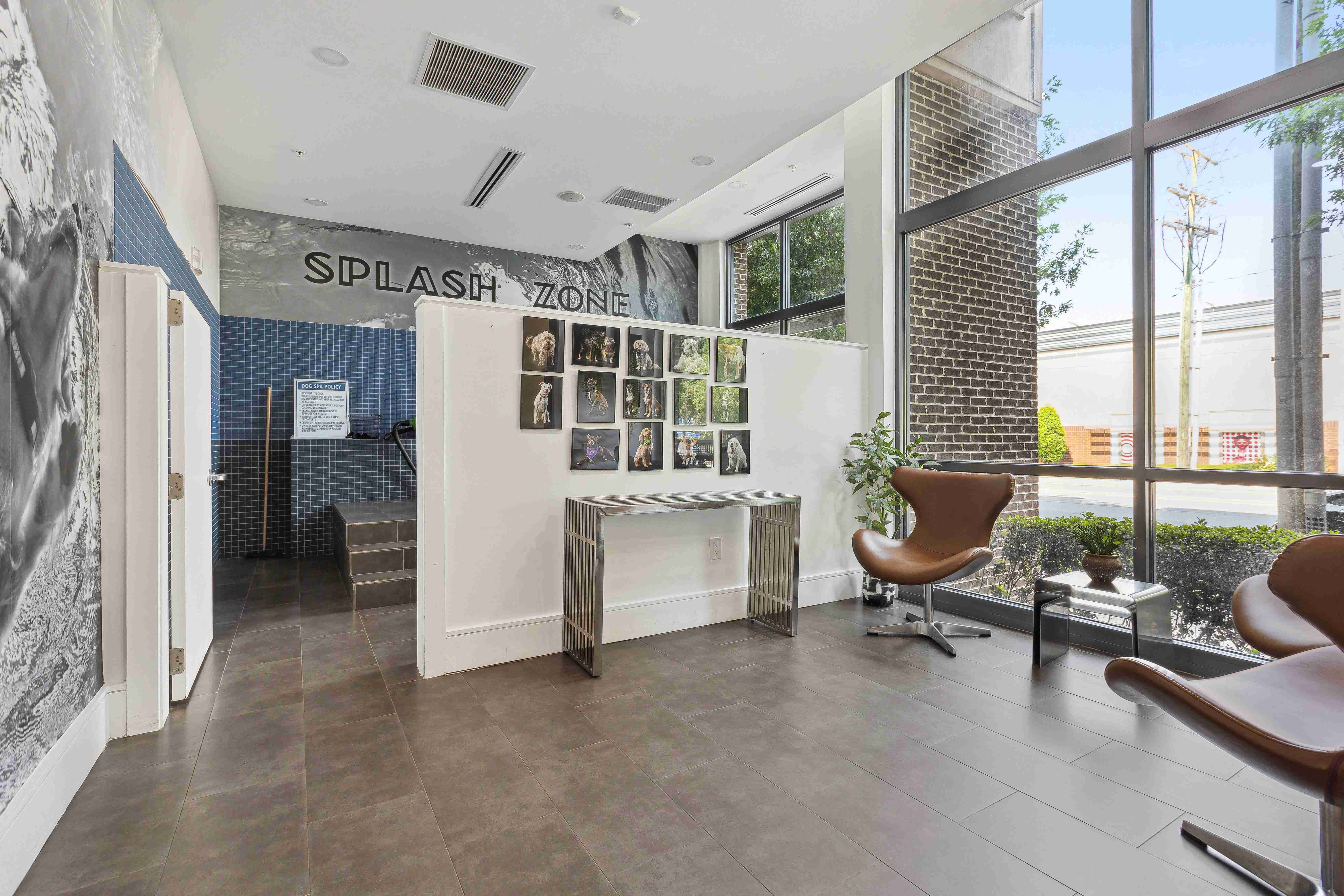 Midtown 205, Charlotte, NC, Pet Salon