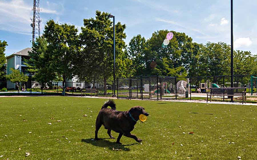 The Artisan at Lawrenceville Image 30