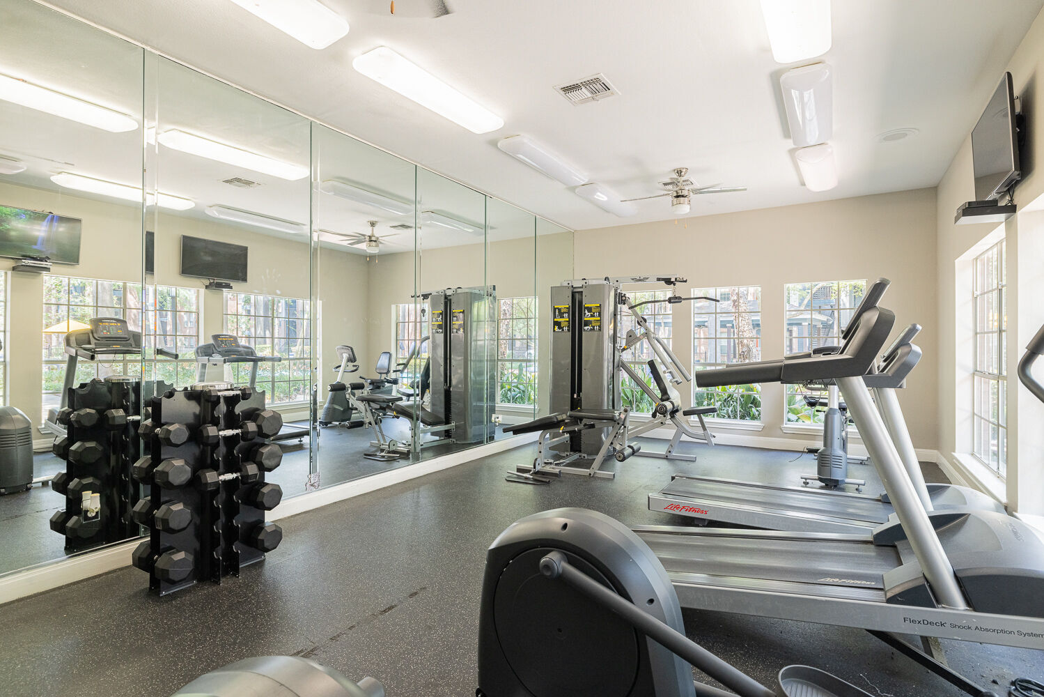 Champions Park Image 8