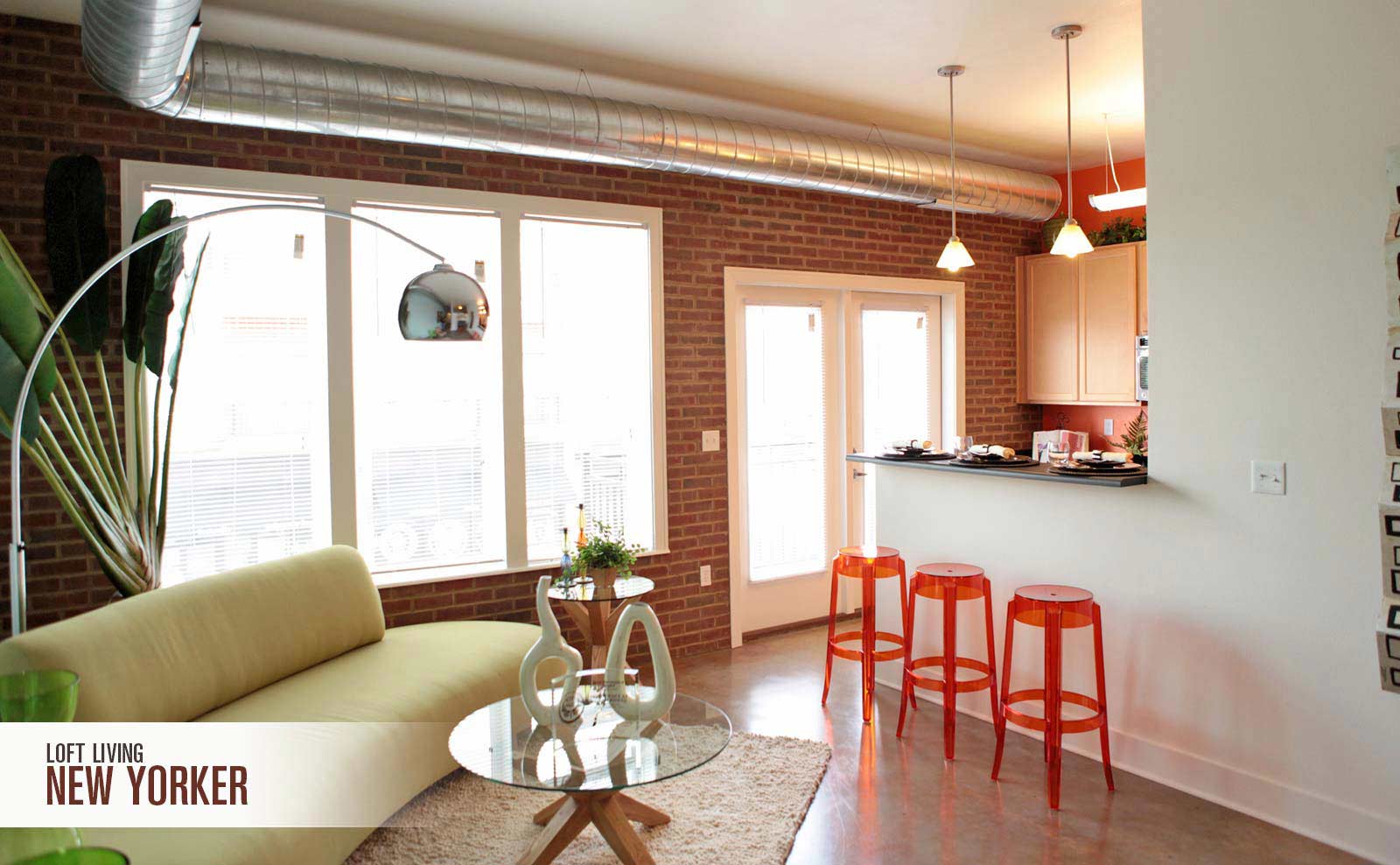 1 Bedroom- 1 Bathroom Apartment