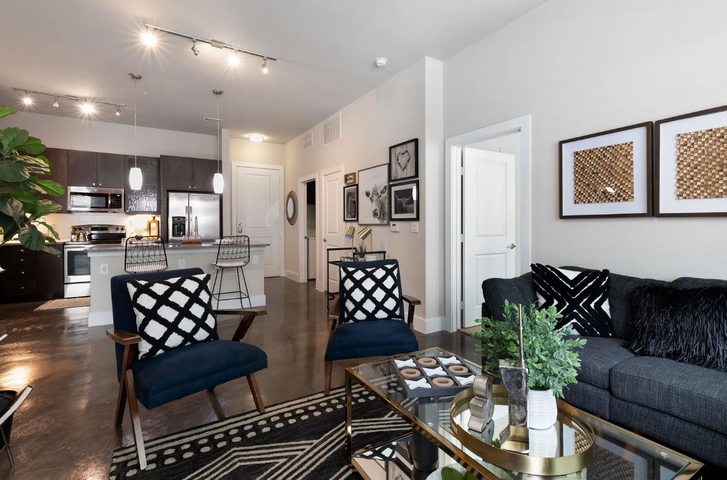 Macallan on Ross Image 5