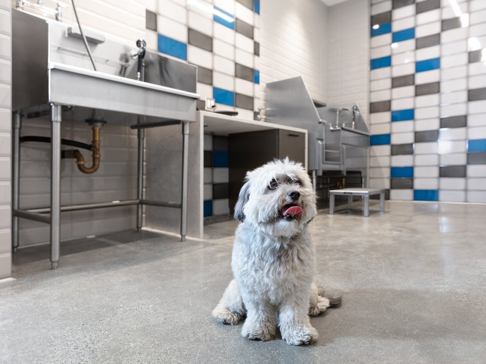WAG Pet Spa