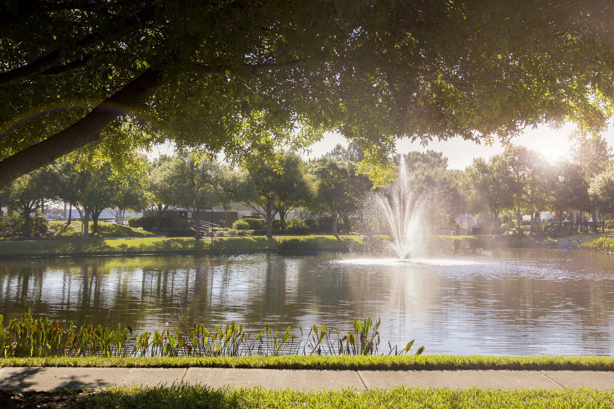 Camden Bay Image 36