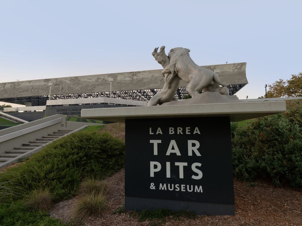 Around the Community