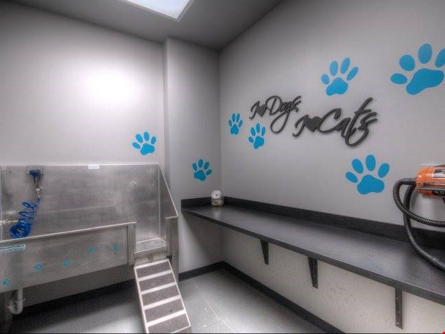 The Residences at the Streets of St Charles Image 6