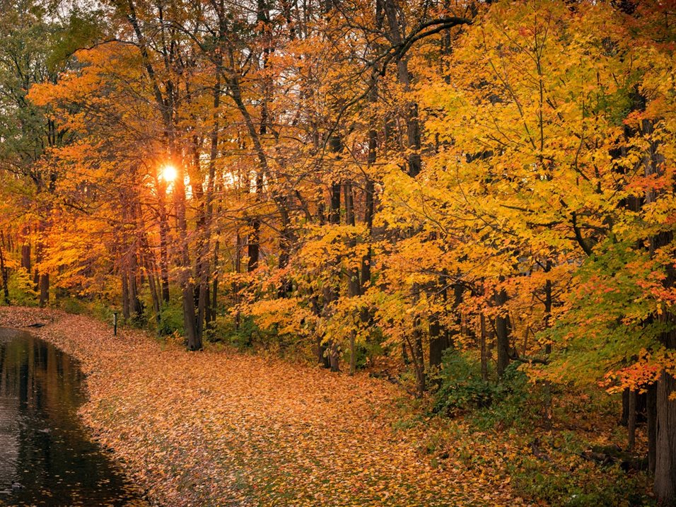 Hampshire Court Image 4