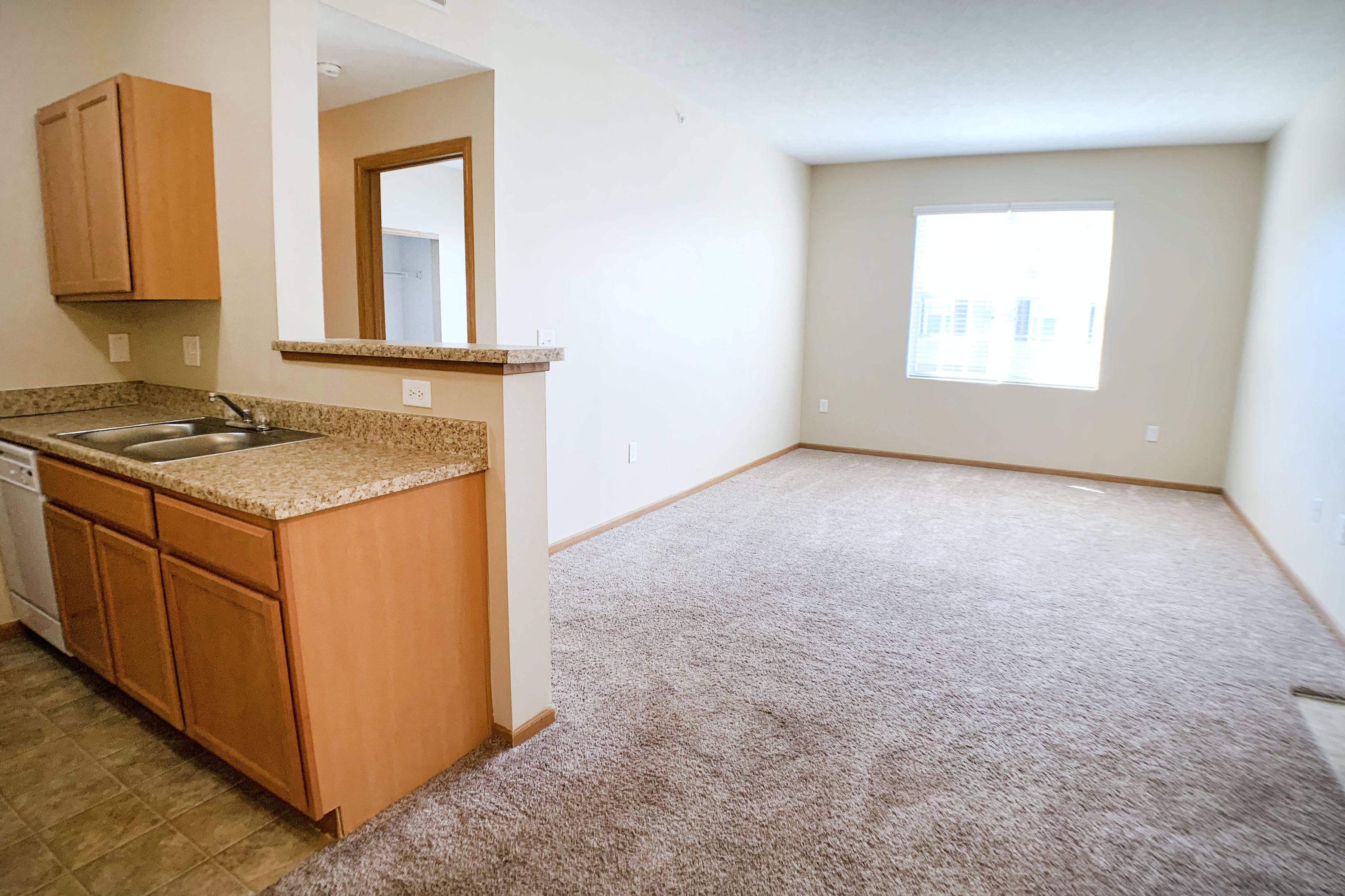 Living room and kitchen