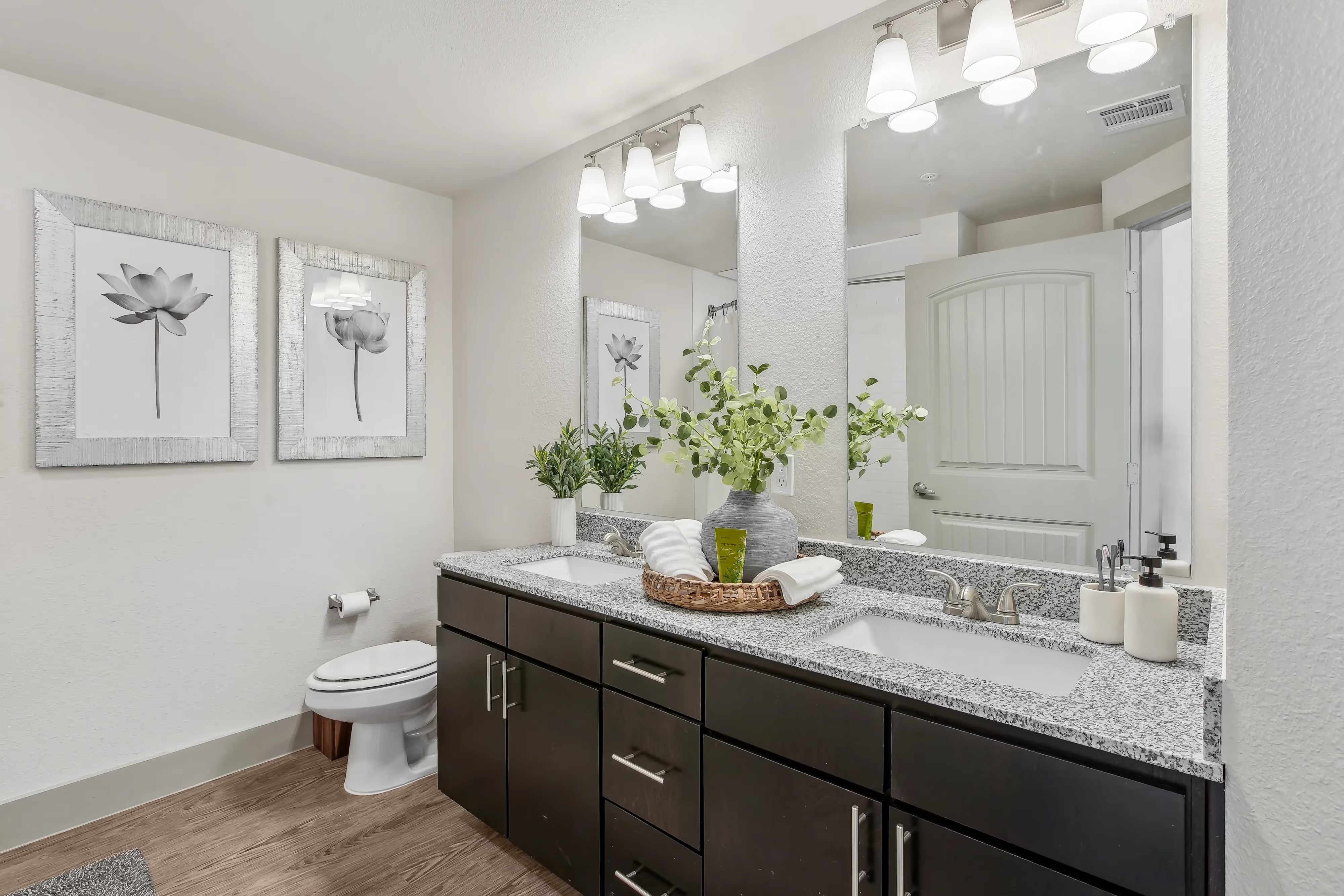 Paloma Apartments Image 10