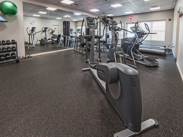 Hampshire Green Image 6