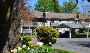 Silver Oak Image 1