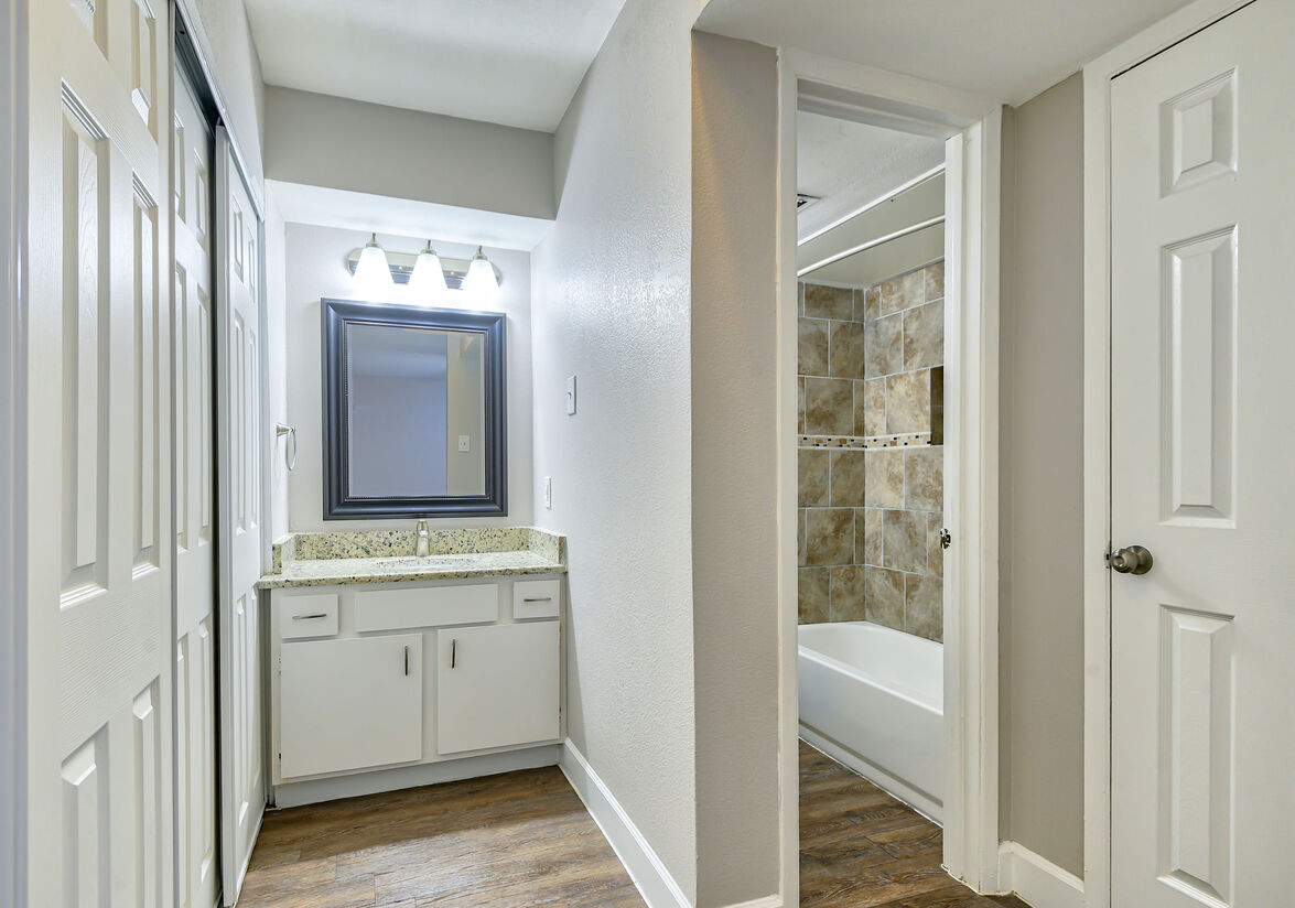 San Mateo Forest Image 9