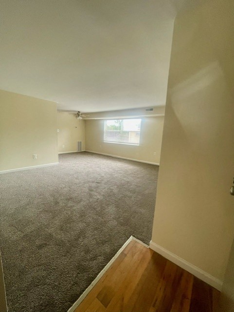 Longview Image 80