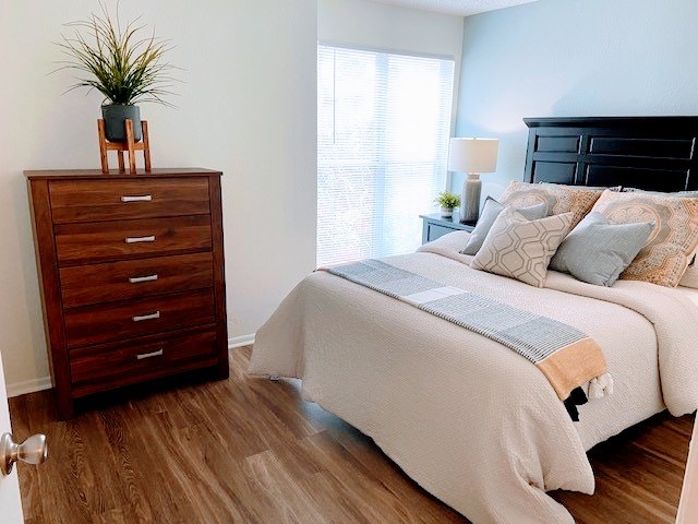 Lake in the Woods Image 7