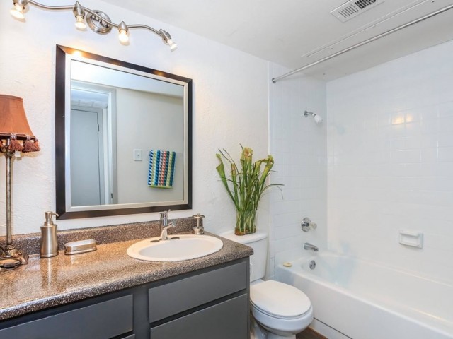 Ventana at Spring Valley Image 10