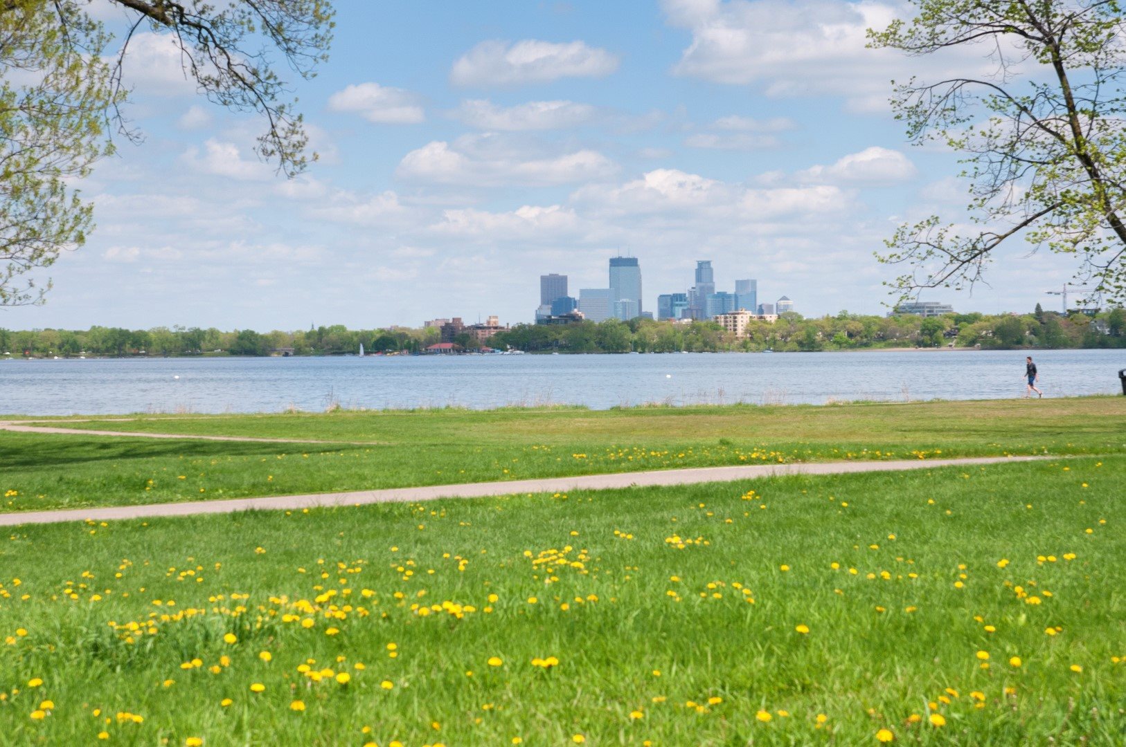 The Original Image 15