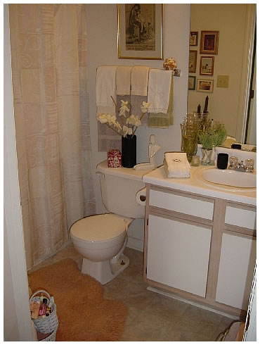 Phillips Landing Apartment Homes Image 6