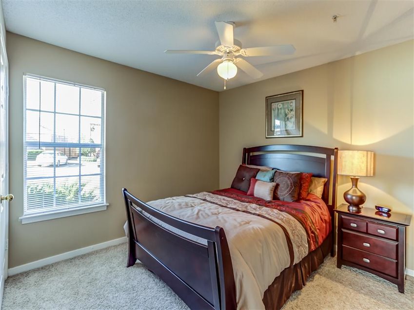 The Vineyard of Olive Branch Image 14