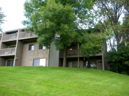 Shadow Green Image 3