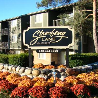 Strawberry Lane Image 2