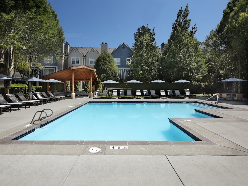 Swimming pool and sundeck