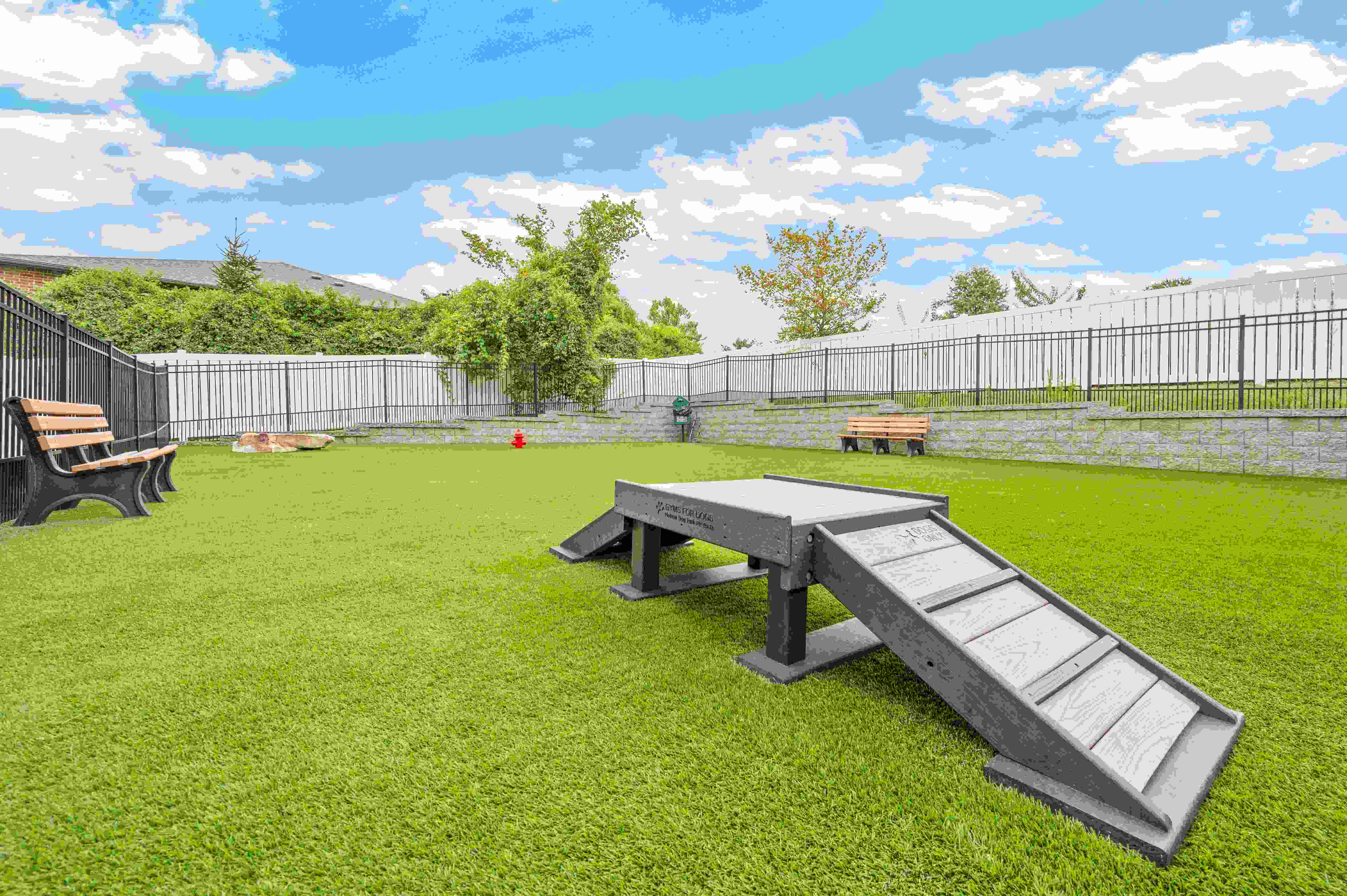 Celtic Crossing Image 15