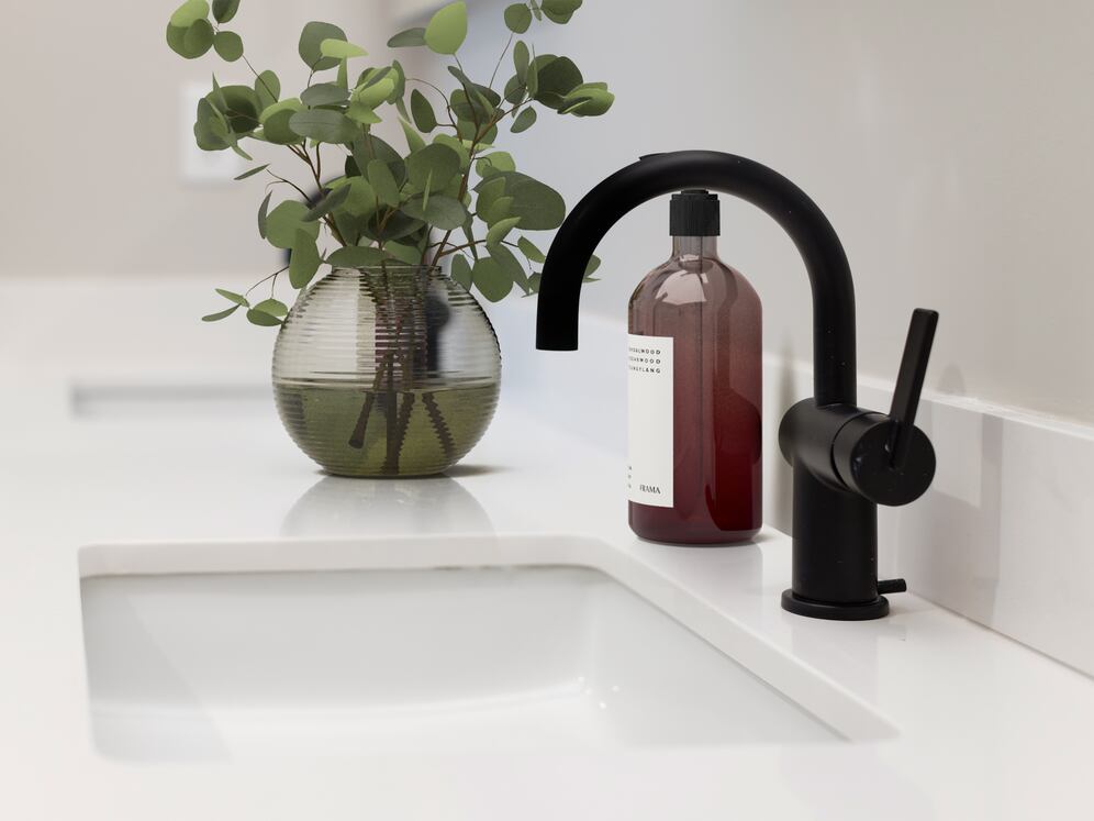 Signature Collection bath with matte black finishes