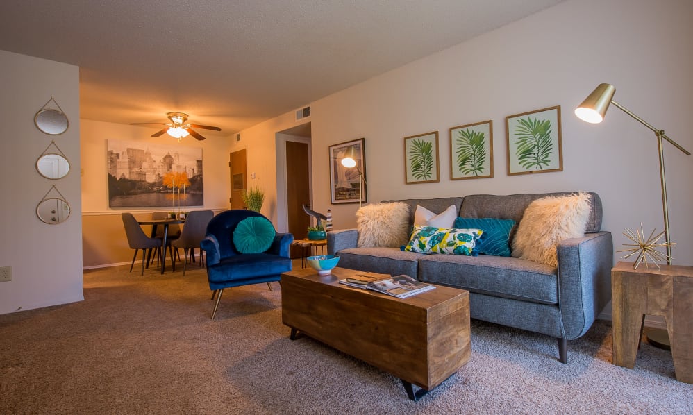 Silver Springs Image 6