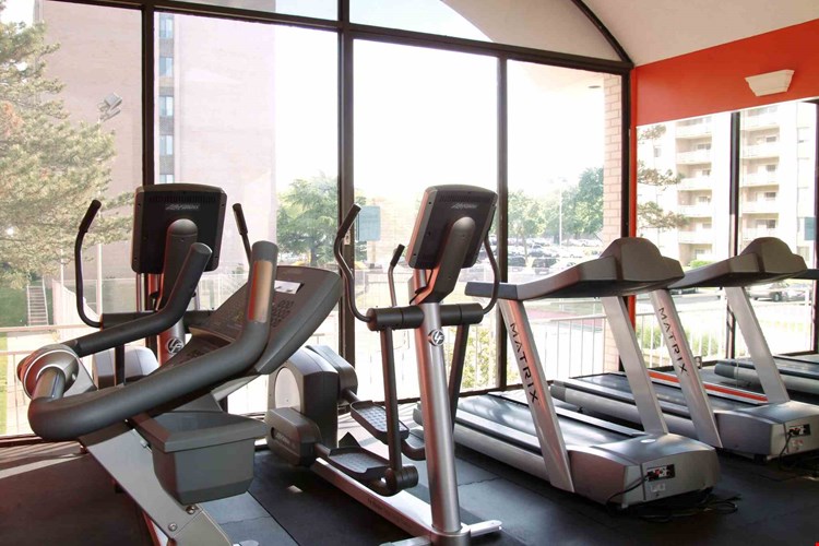 Seven Springs Image 4