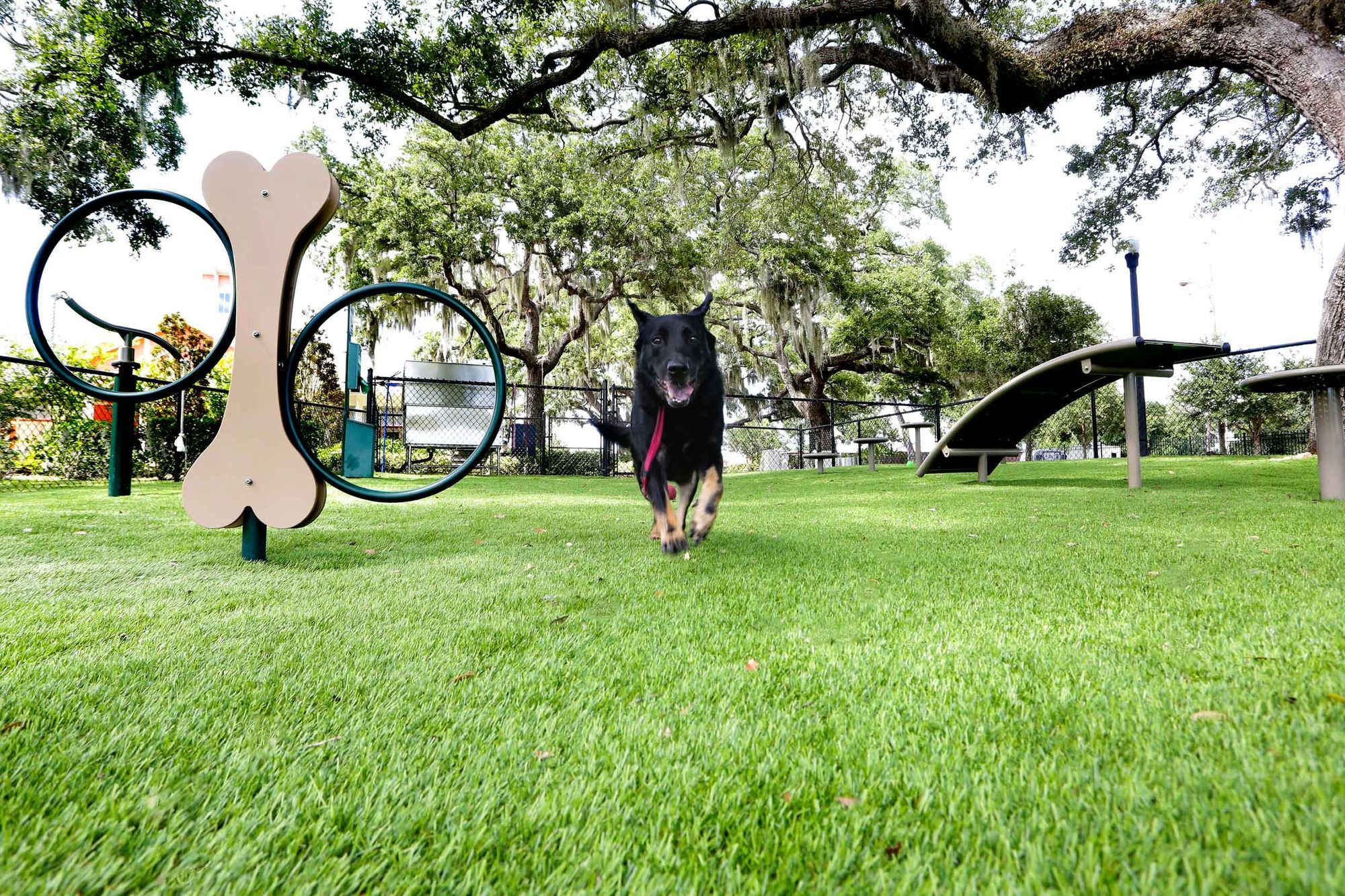 Solaris Key Image 33