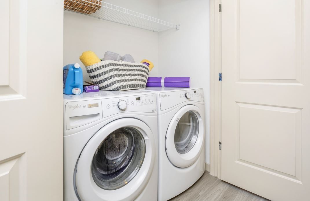 Elevation At County Line Image 13