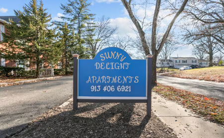 Sunny Delight Image 3