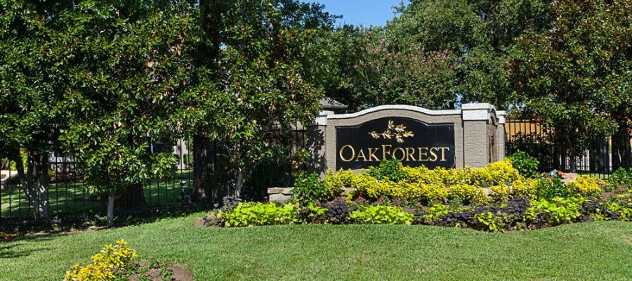 Oak Forest Image 1