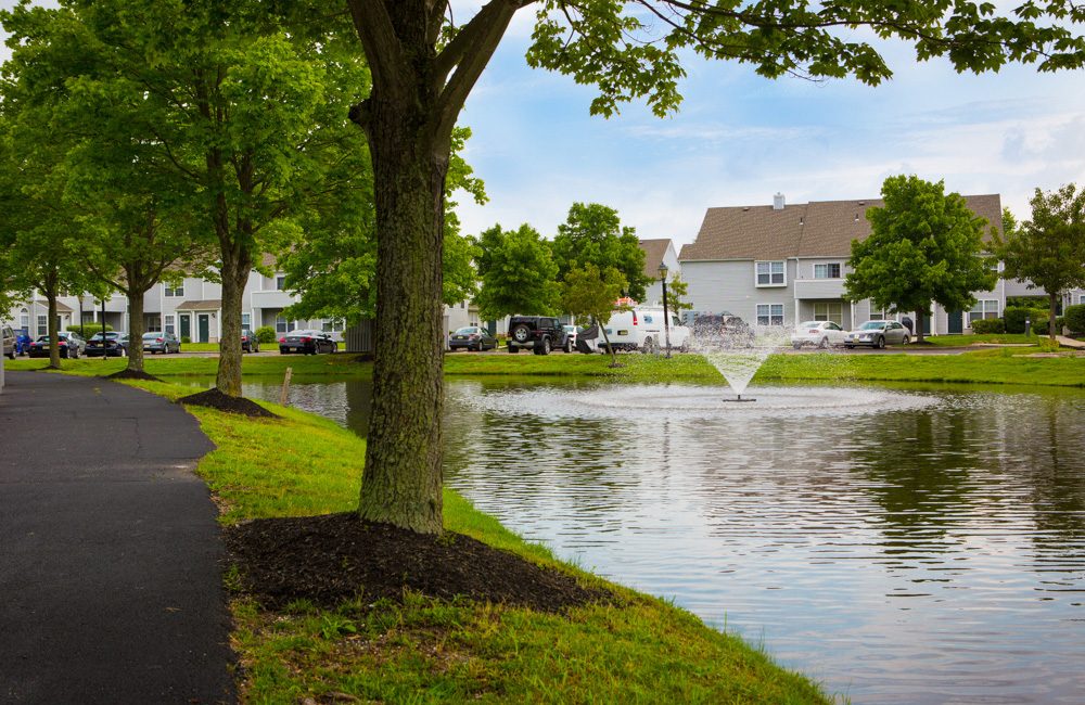 Hamilton Greene Image 2