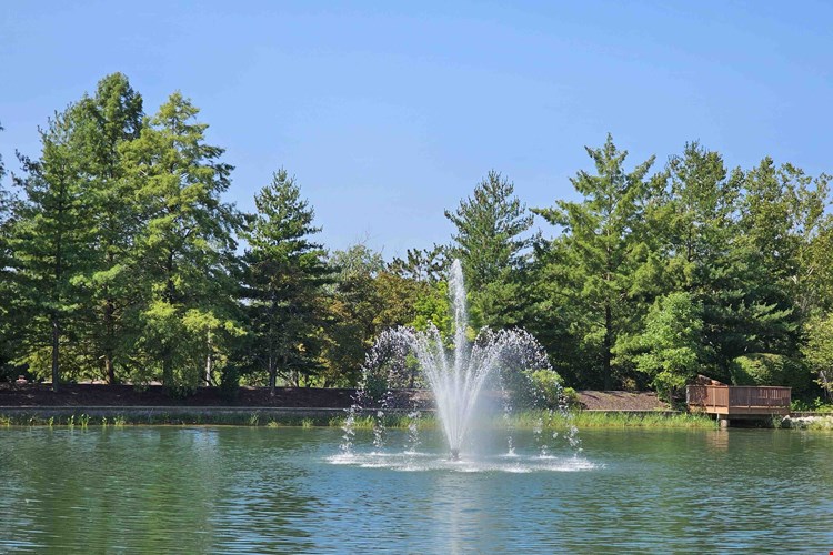 Boulder Springs Image 13