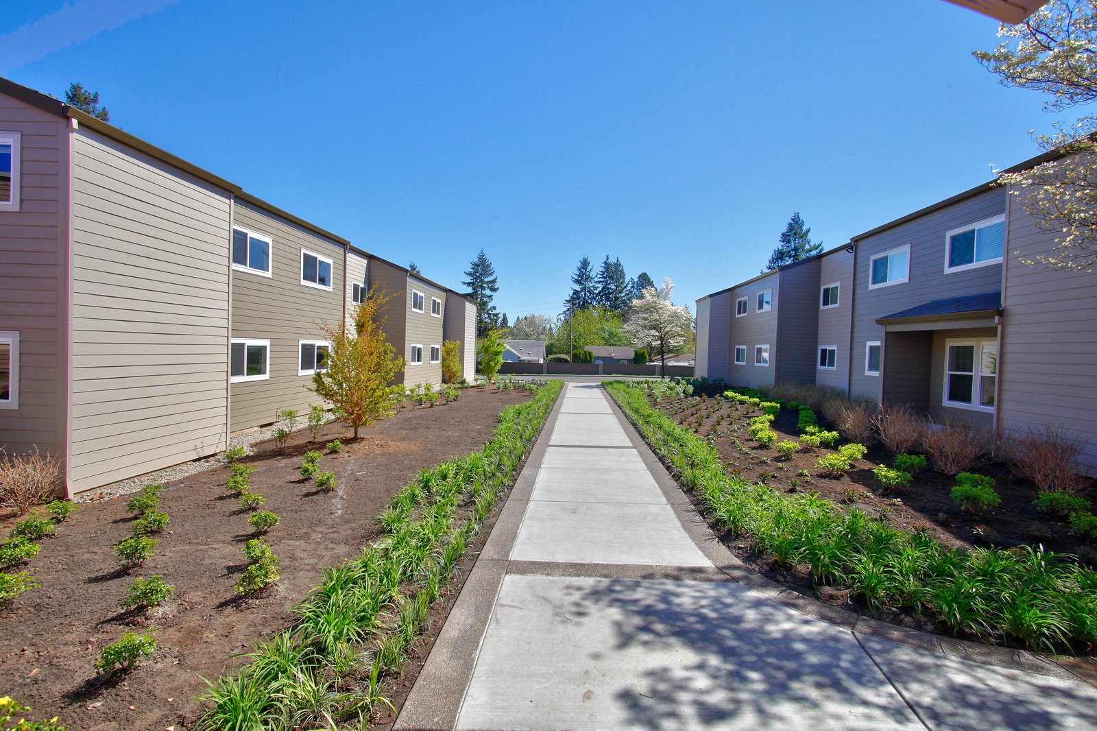 Parc Central Image 38