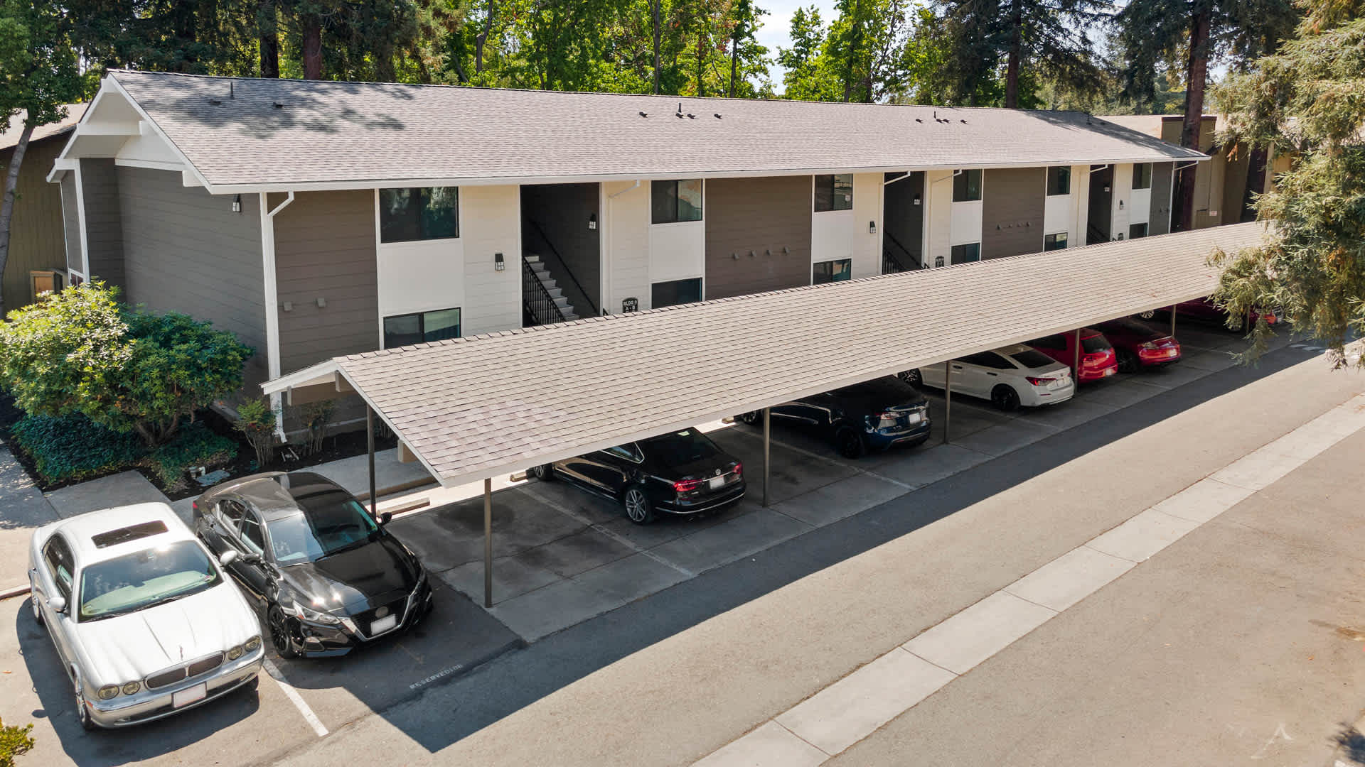 Lorien Ivy I Image 18