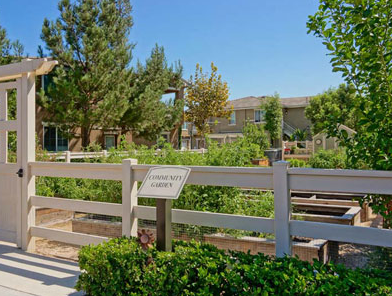 Homecoming At Terra Vista Image 15