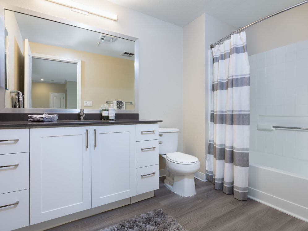 Upgraded Apartment Home Bath