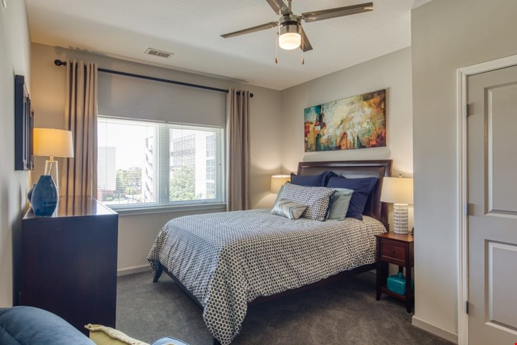 Liberty Apartments Image 8