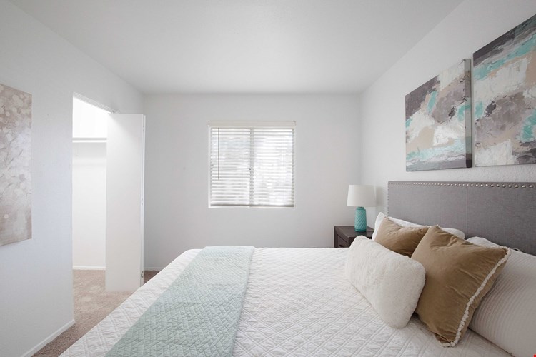 Ascent at Walnut Creek Image 9