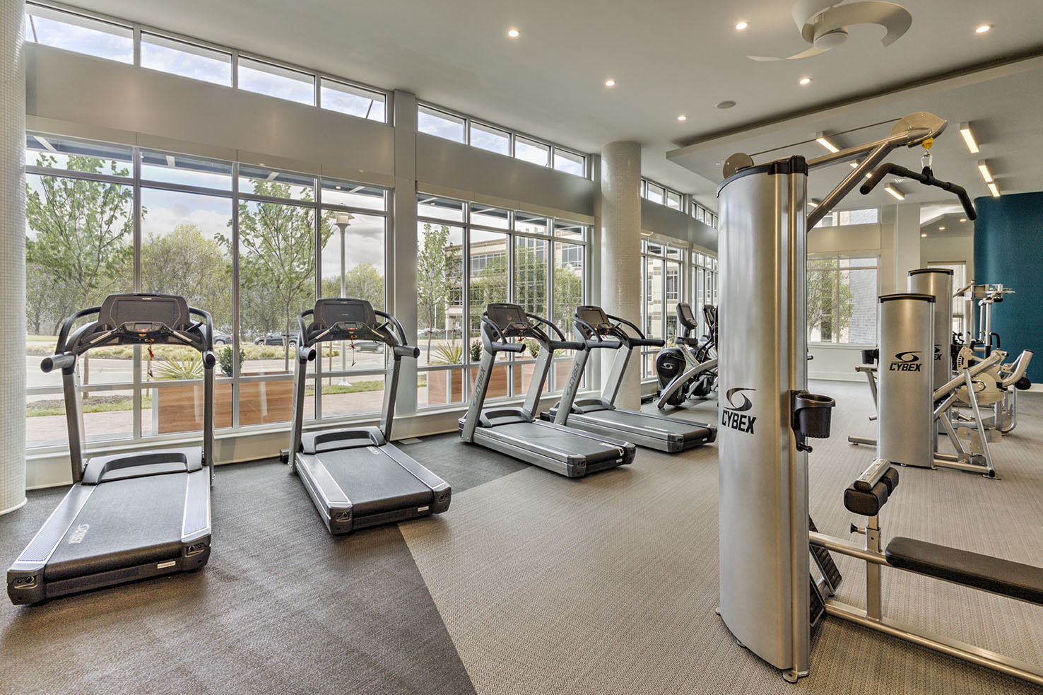 Camden Shady Grove Image 35