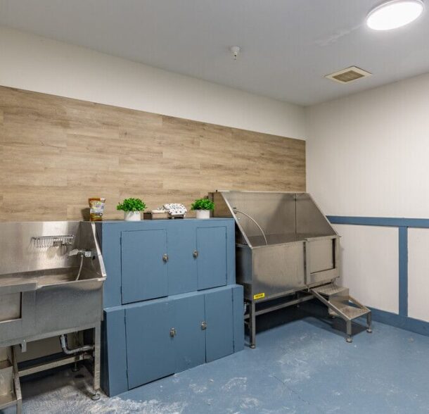 Arium Brookhaven Image 4