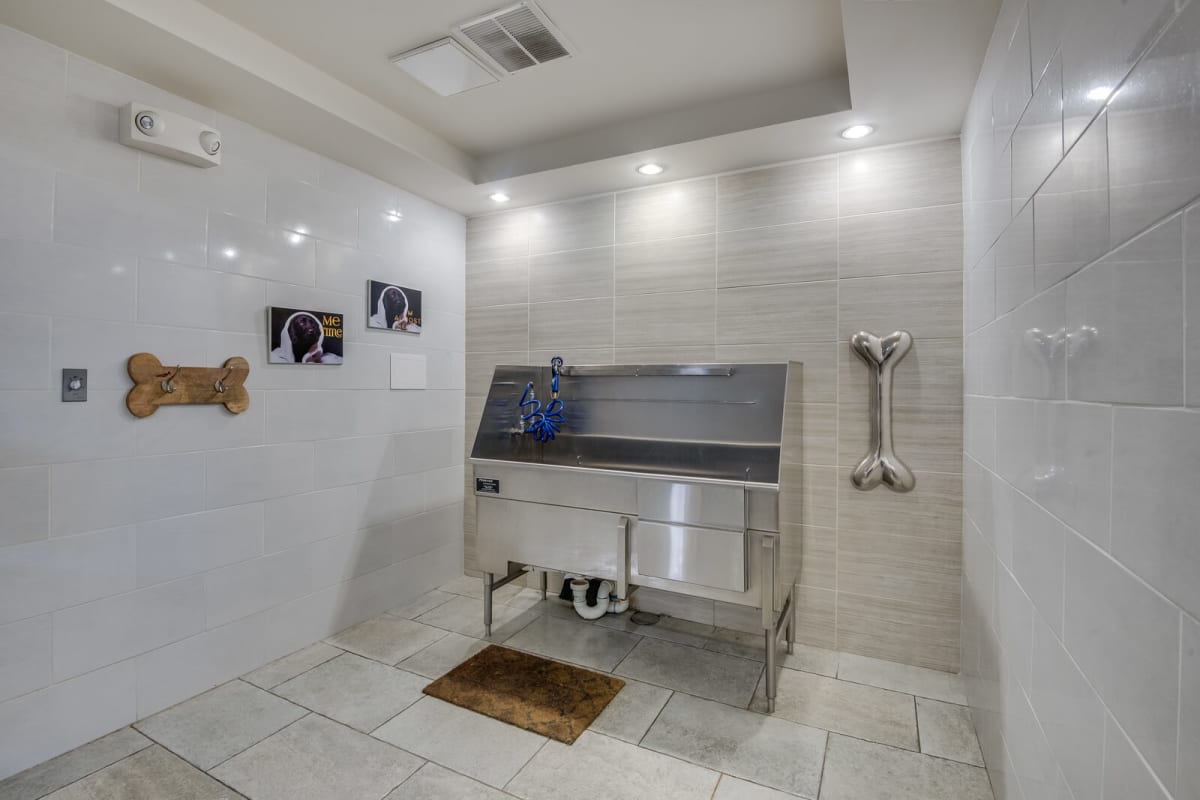 Windsor at West University Image 5