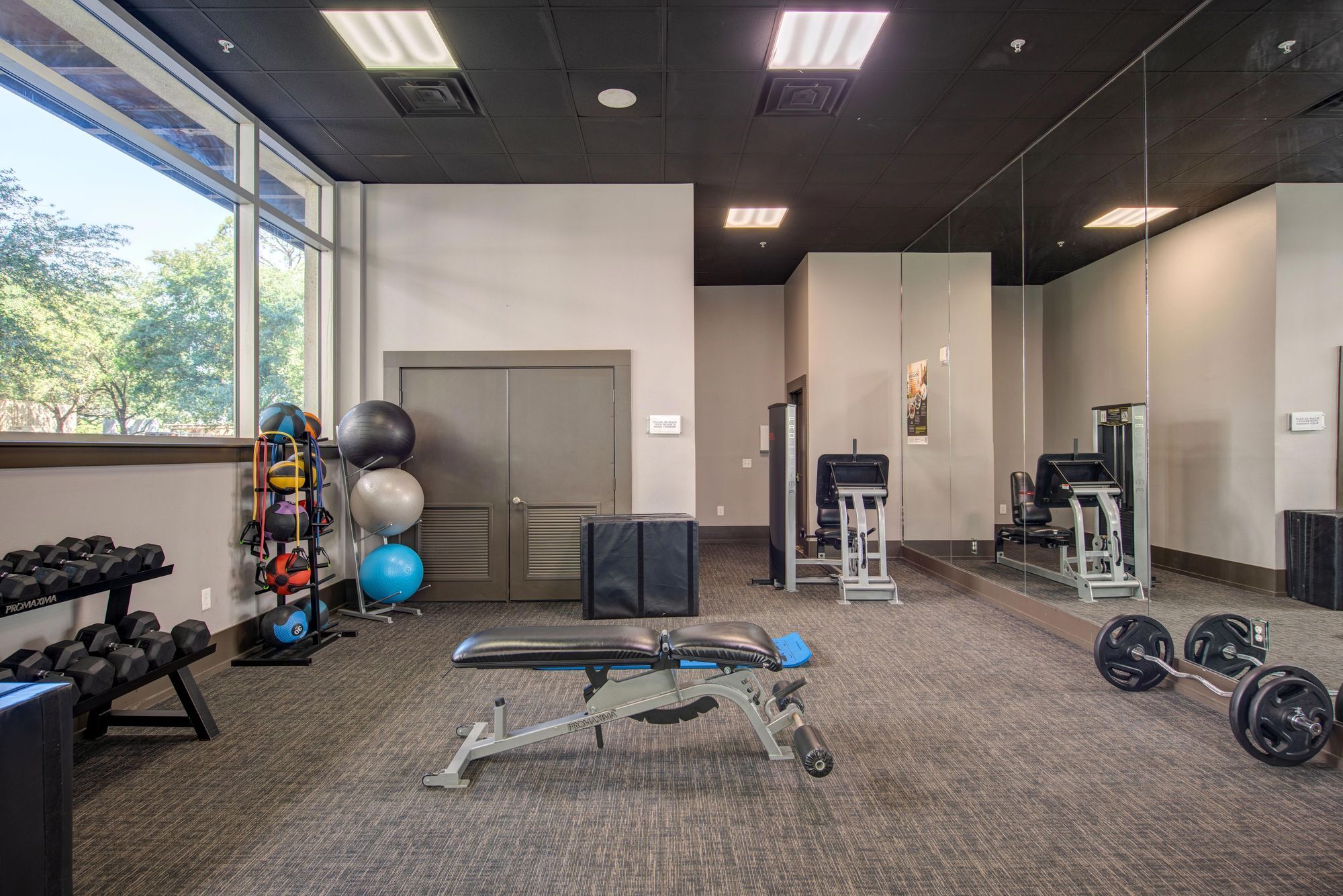 Cortland Halstead Image 24