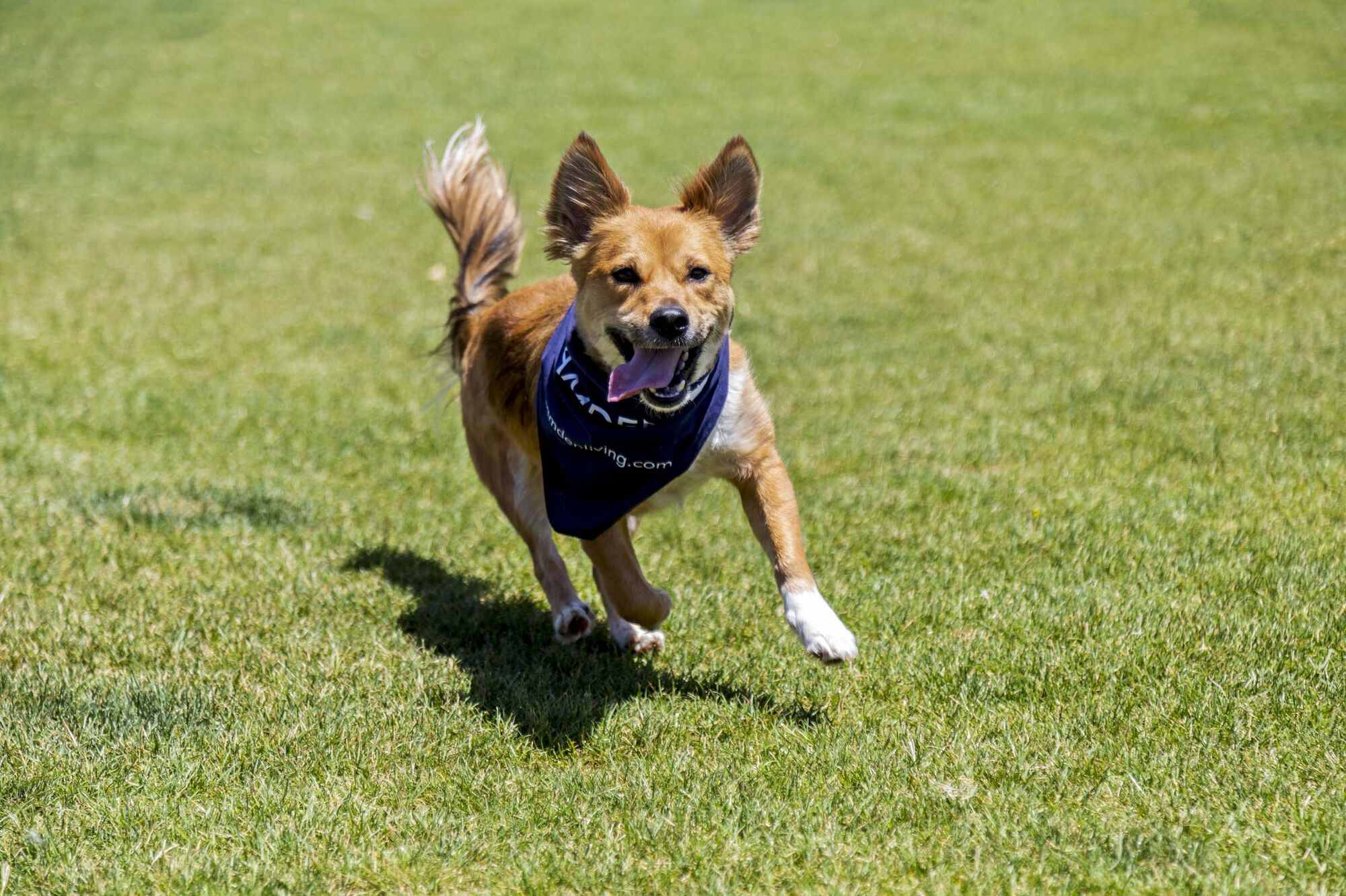 Camden Tuscany Image 41