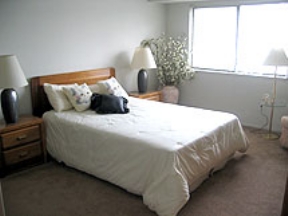 Windsong Apartments Image 7