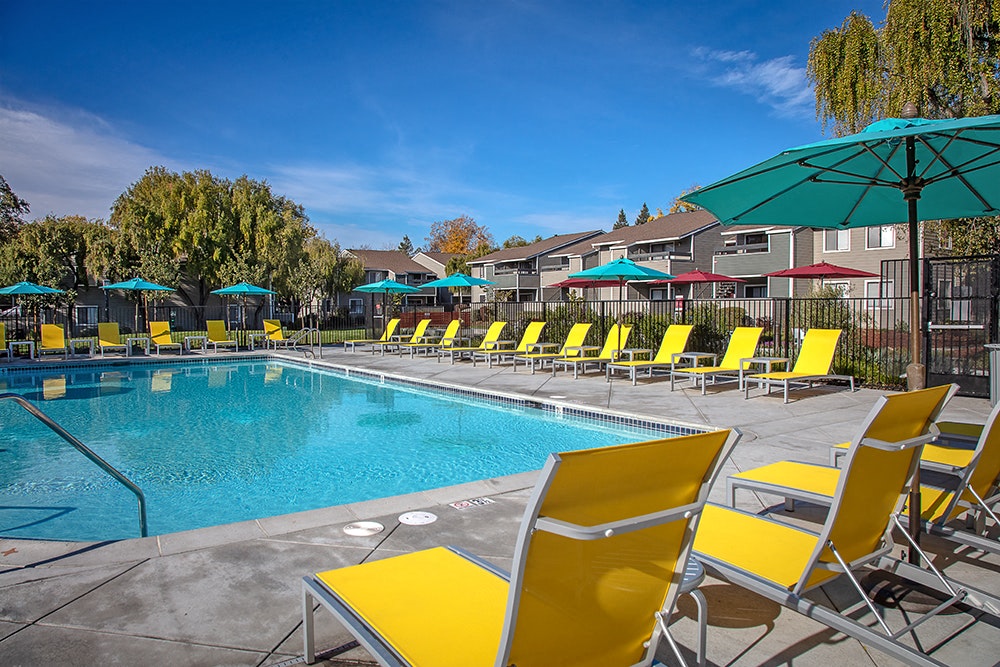 The Alexandar Image 14