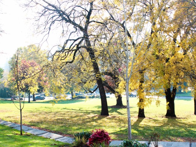 Timberhill Meadows Apartments Image 7