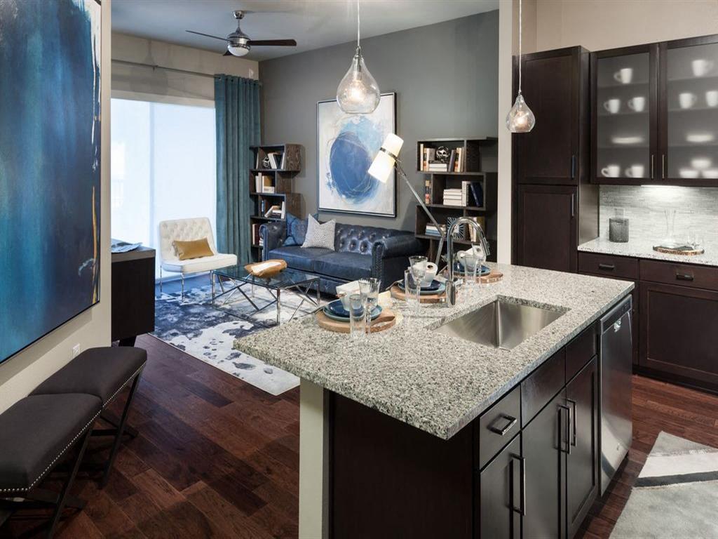 Lyra on McKinney Image 4