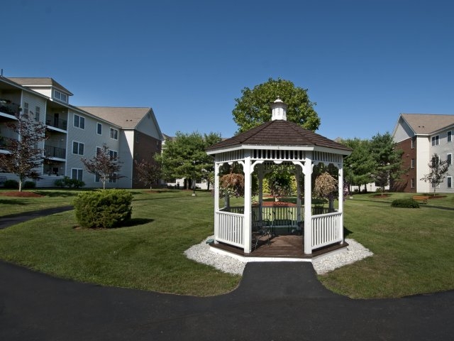 Hampshire Green Image 5